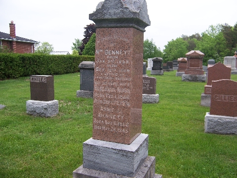 search cemetery death records st.marys